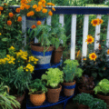 Thriving in the Heat: A Beginner’s Guide to Patio and Balcony Gardening with Native Nevada Plants in Las Vegas